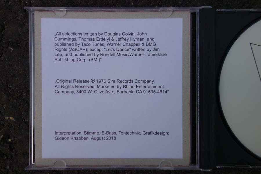 Gideon Knabben: RAMONES Ansicht 7